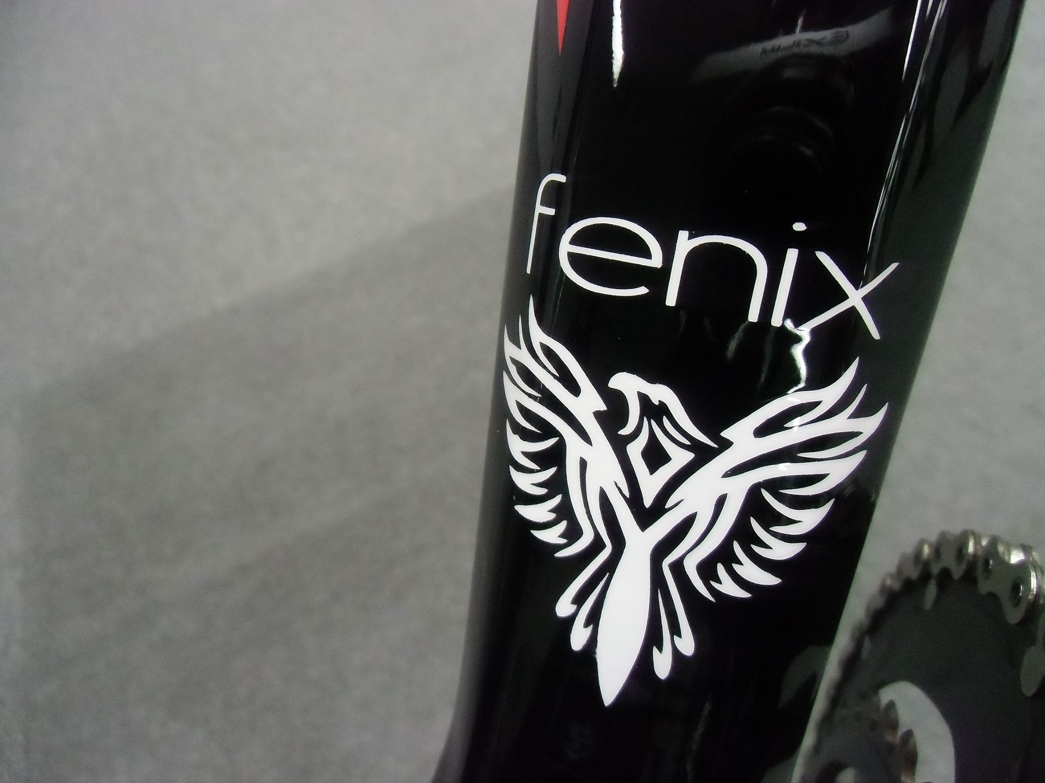 2015　RIDLEY　FENIX　フェニックス　オールラウンド　ロードバイク
