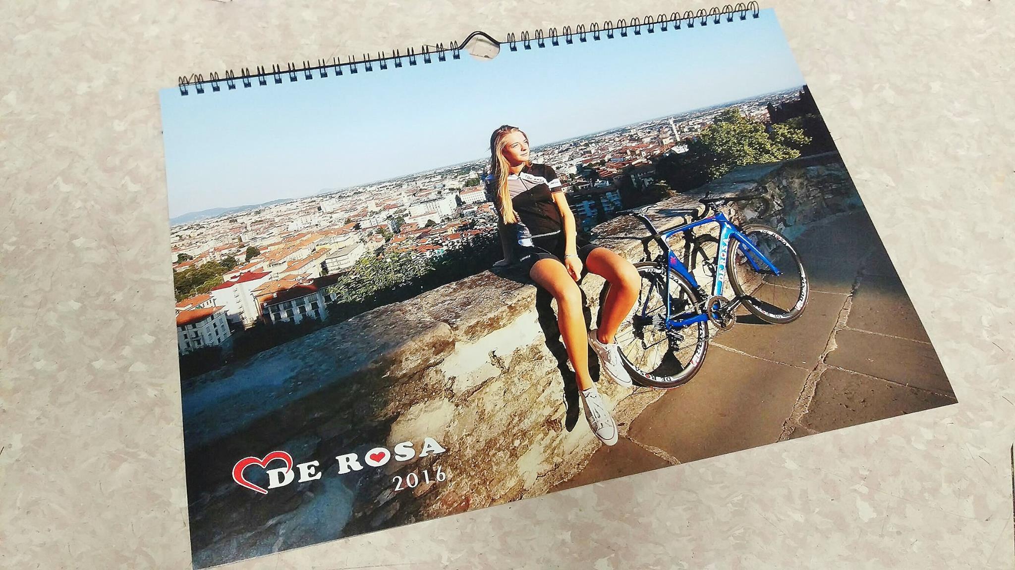 2016　カレンダー　DE ROSA de rosa デローザ　イタリアメーカー　広島県福山市　FINE fine ファイン